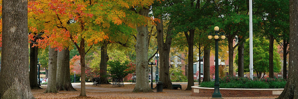 a scene of the grove with the leaves turning colors